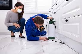 Real Estate Pest Inspections in Madison Lake, MN